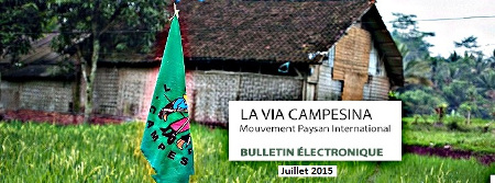 Bulletin électronique de la Via Campesina – Juillet 2015